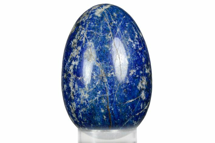 Polished Lapis Lazuli Egg - Pakistan #352563